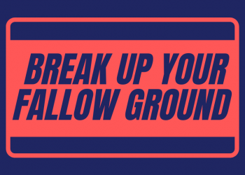 Break Up Your Fallow Ground
