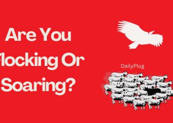 Are You Flocking or Soaring? I
