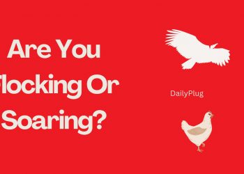 Are You Flocking or Soaring? II